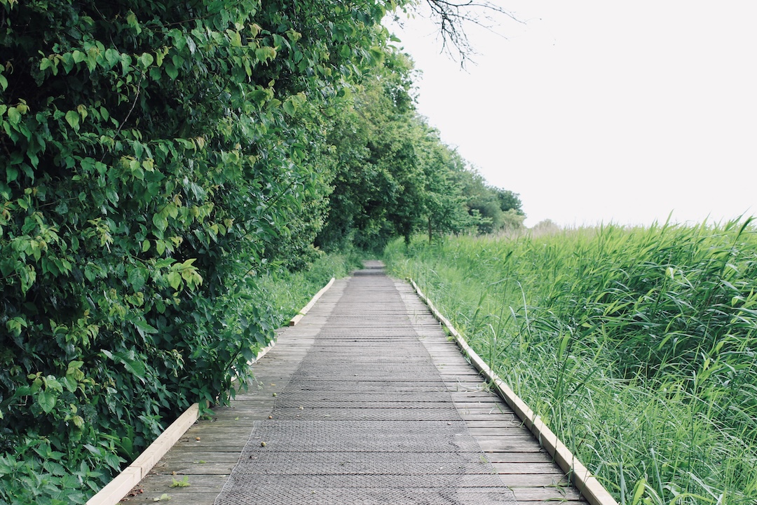 Boardwalk
