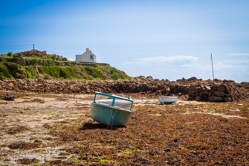 Old Town Bay