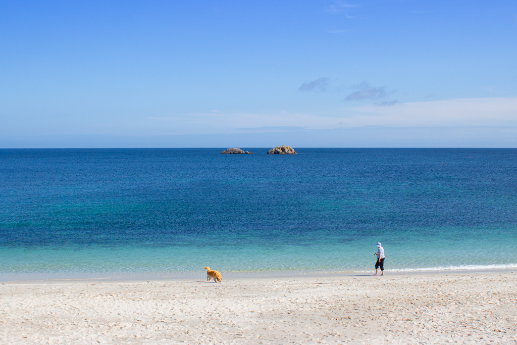 St Martin's Bay Beech