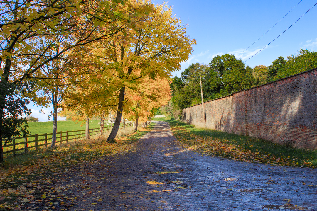Autumn at Harewood