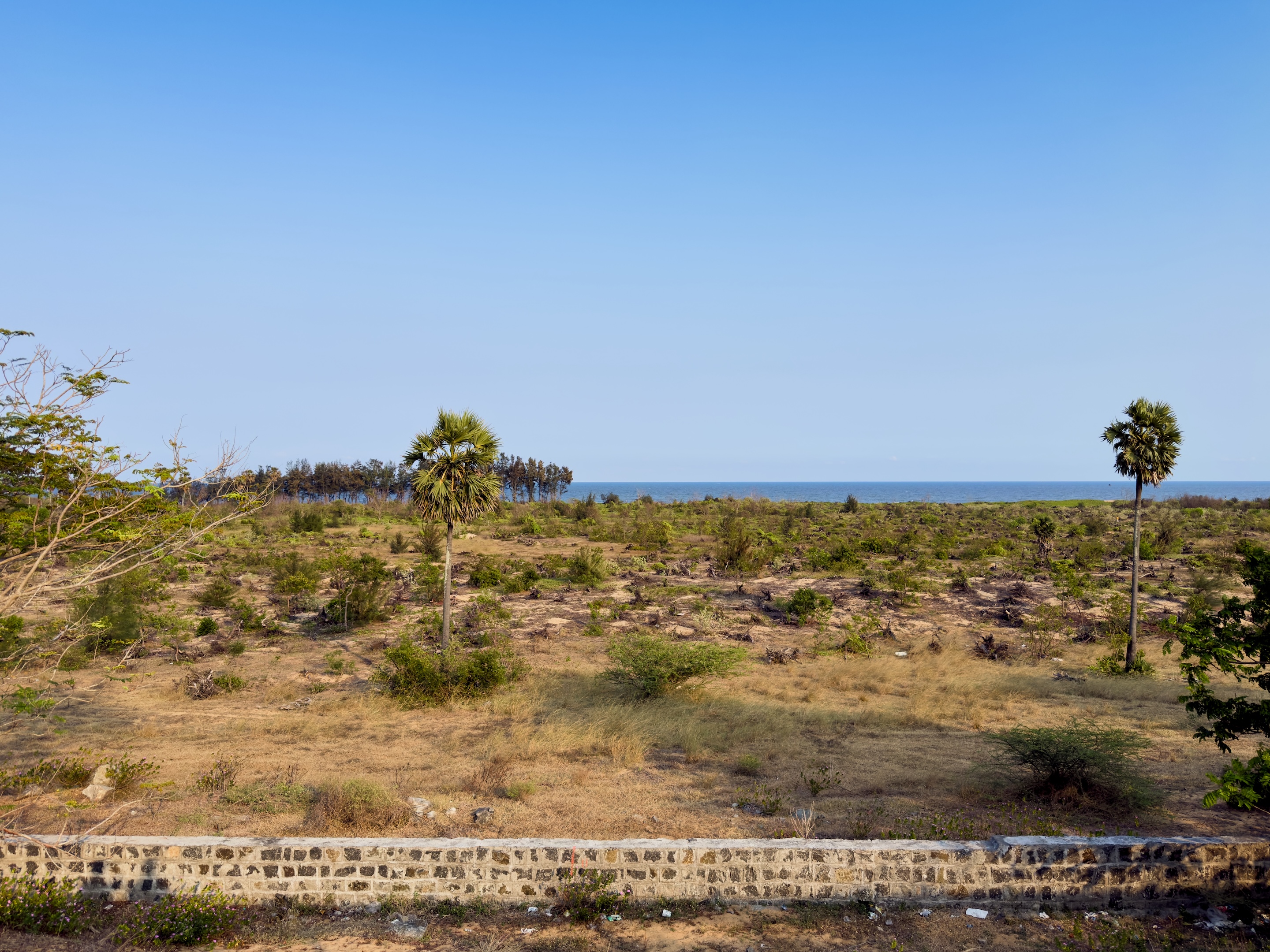 View from the East Cost Road, Tamil Nadu