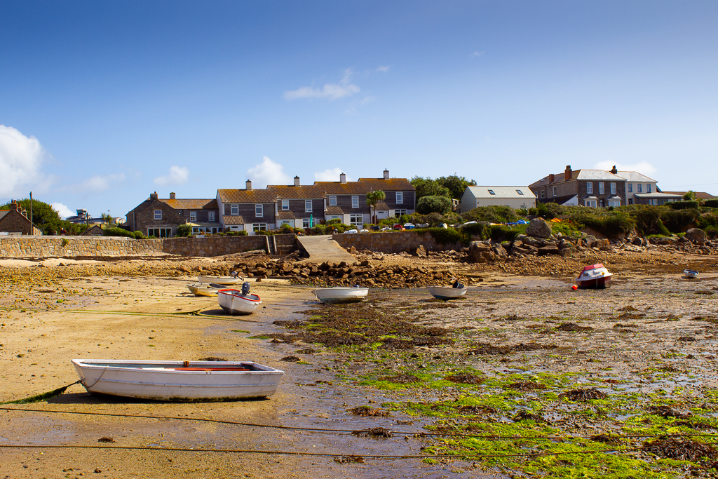 Old Town Beech