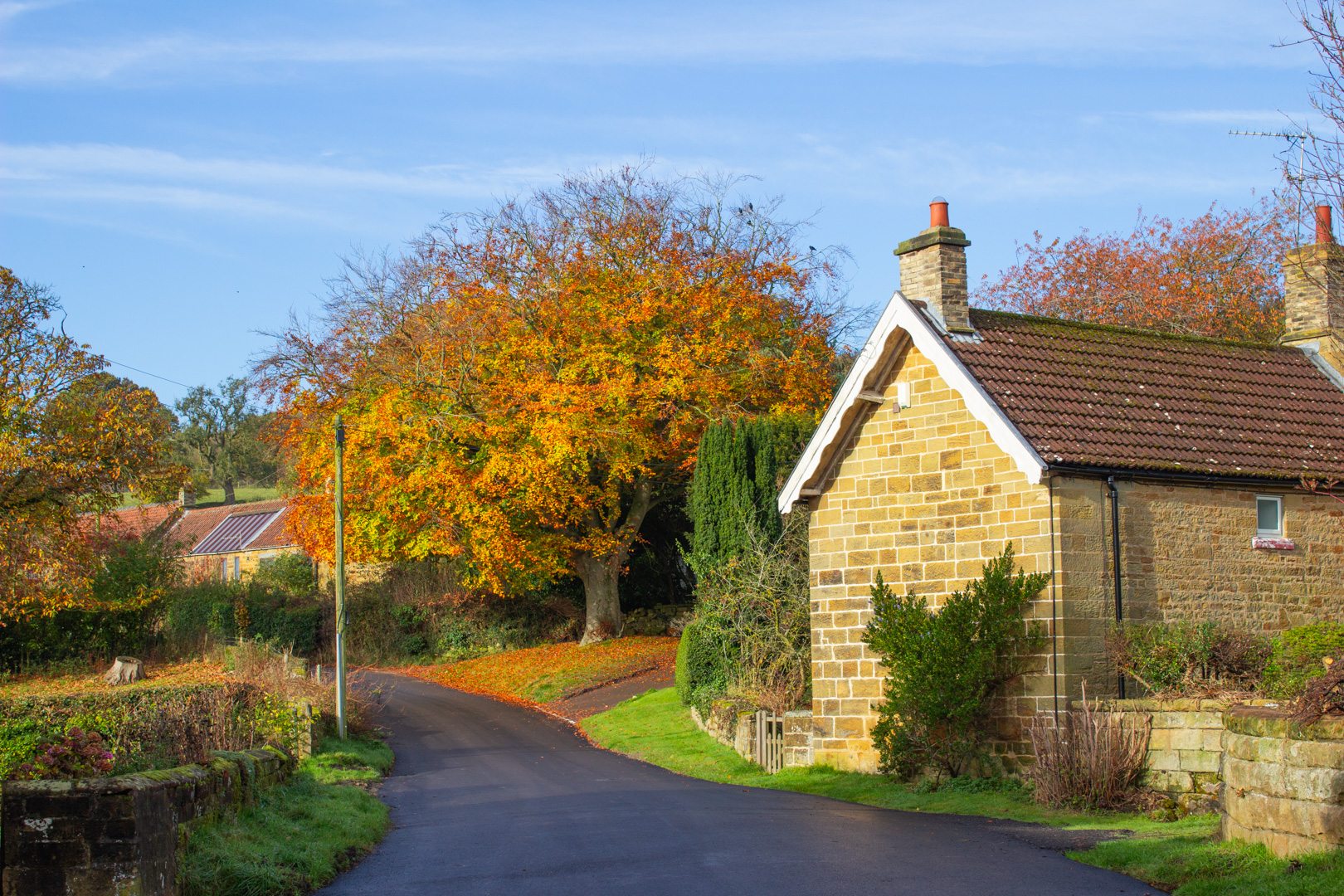 Autumn Hues, Boltby